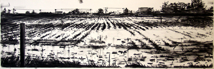 Gallery 8 Salt Spring Island - Deon Venter