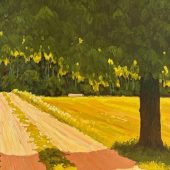 Gallery 8 Salt Spring Island - Artist Adam Noonan