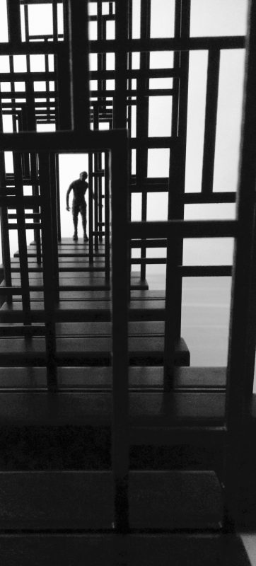 Gallery 8 Salt Spring Island - Janis Woode