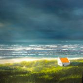 Gallery 8 Salt Spring Island - Artist Pieter Molenaar