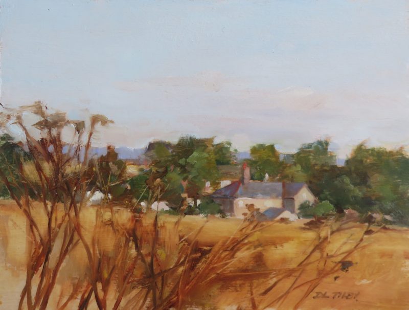 Gallery 8 Salt Spring Island - Artist Deborah Tilby