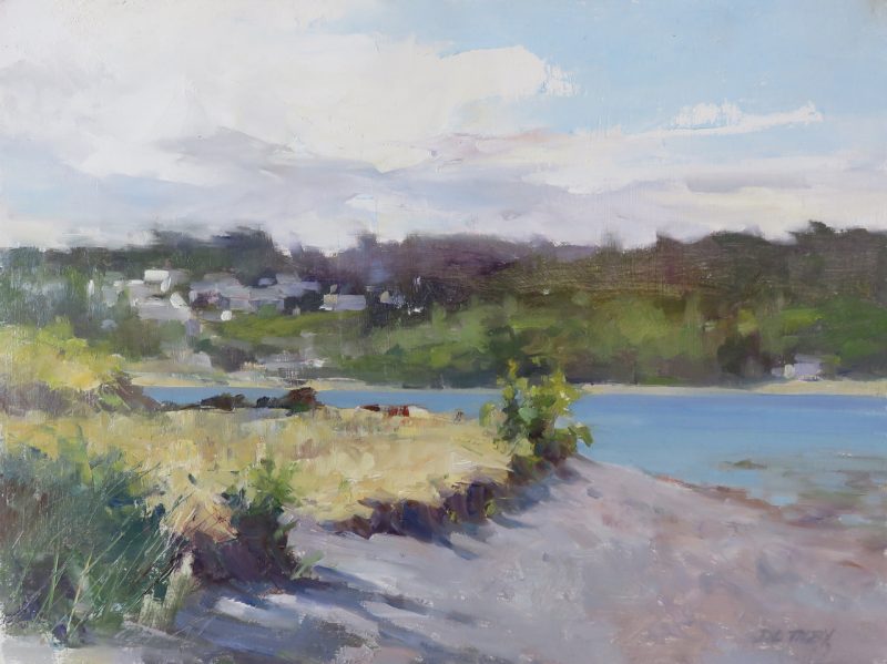 Gallery 8 Salt Spring Island - Artist Deborah Tilby