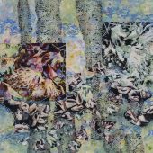 Gallery 8 Salt Spring Island - Artist Donna J Hall