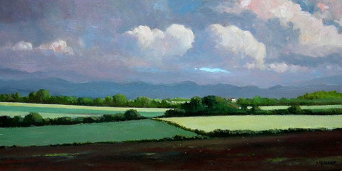 Gallery 8 Salt Spring Island - Artist Pieter Molenaar