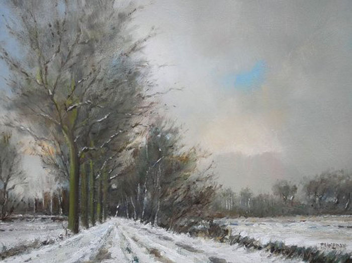 Gallery 8 Salt Spring Island - Artist Pieter Molenaar