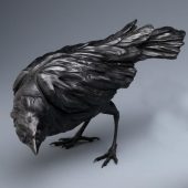 Gallery 8 Salt Spring Island - Nicola Prinsen