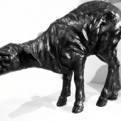 Gallery 8 Salt Spring Island - Nicola Prinsen