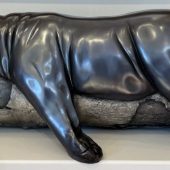 Gallery 8 Salt Spring Island - Nicola Prinsen