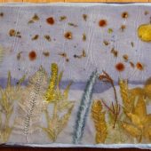 Gallery 8 Salt Spring Island - Karen Selk