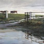 Gallery 8 Salt Spring Island - Artist Deborah Tilby