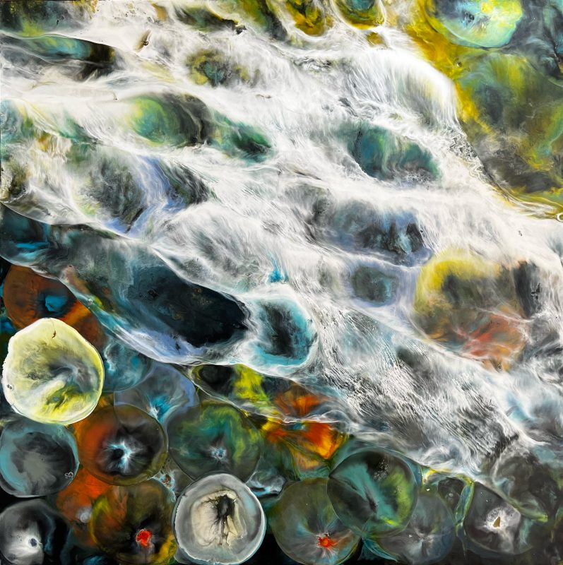 Gallery 8 Salt Spring Island - Shelley Wuitchik