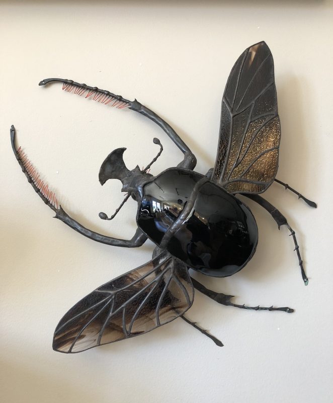 Gallery 8 Salt Spring Island - Sean Goddard