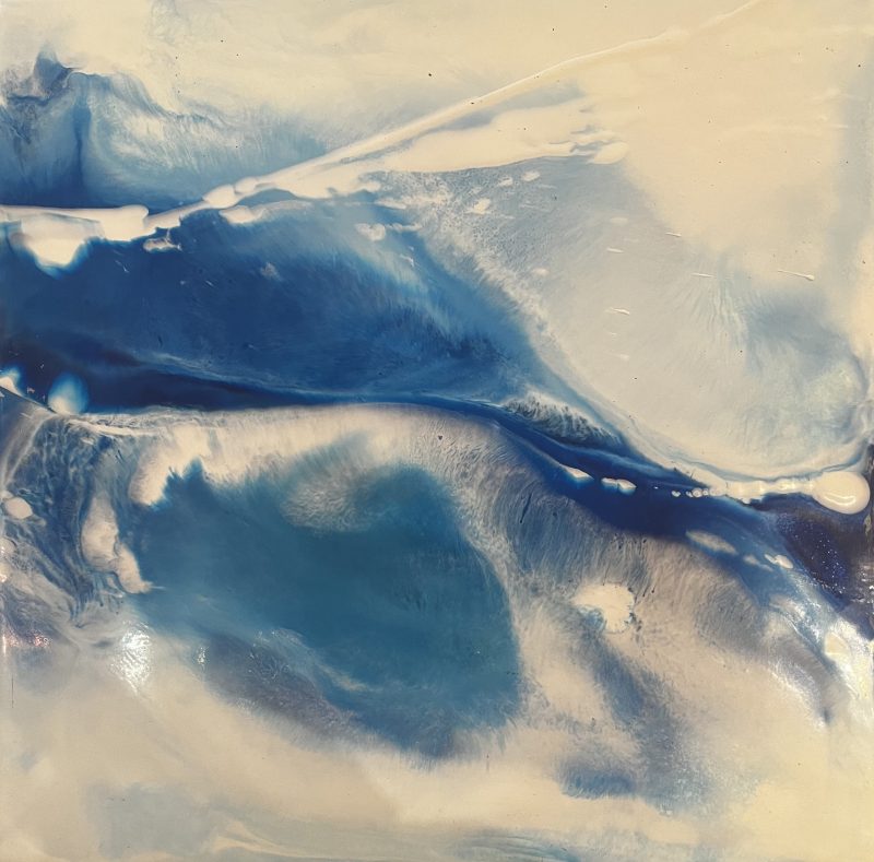 Gallery 8 Salt Spring Island - Artist Shelley Wuitchik