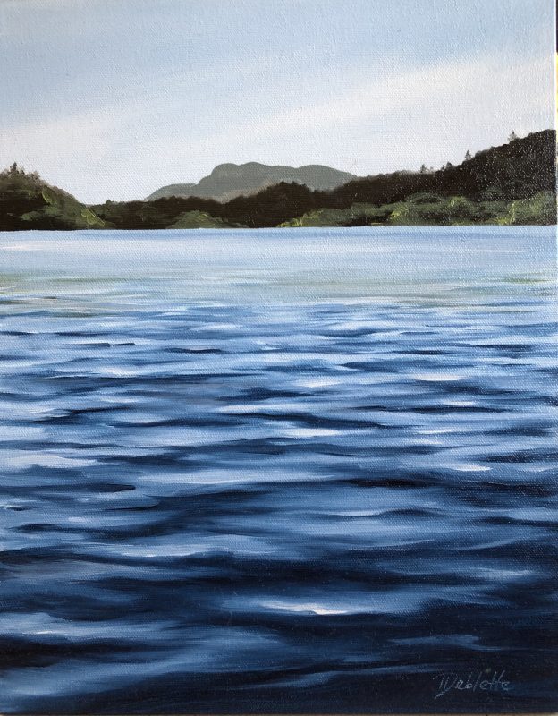 Gallery 8 Salt Spring Island - Artist Daina Deblette