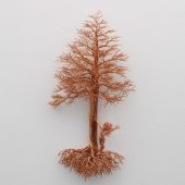 Gallery 8 Salt Spring Island - Artist CG Swanson