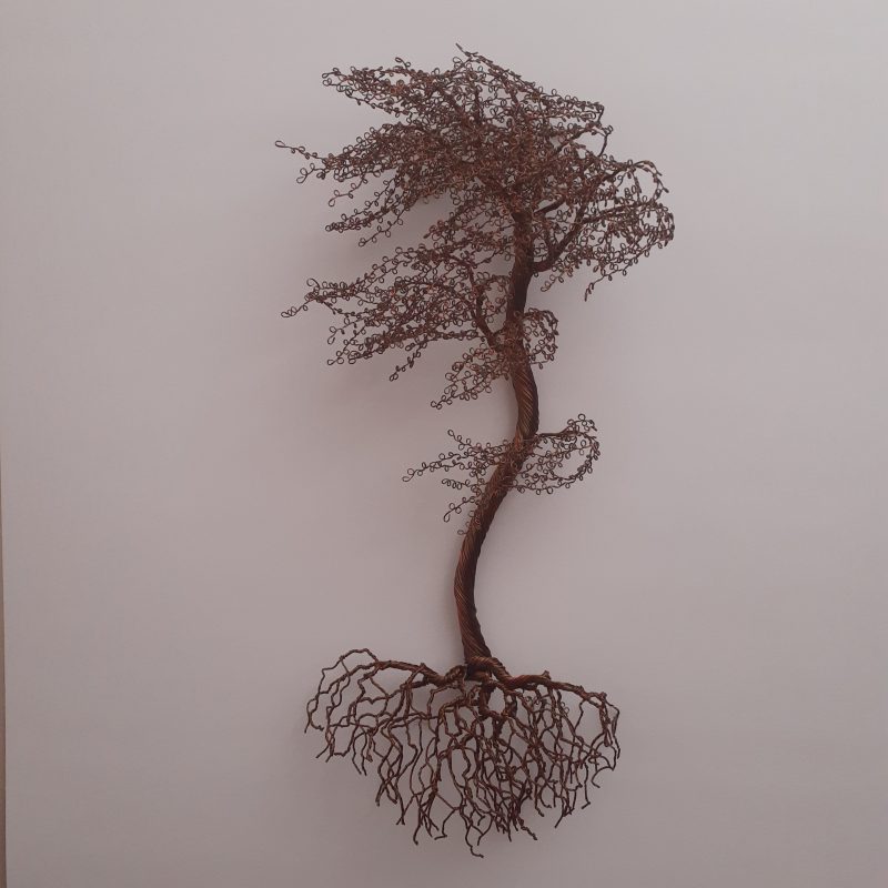 Gallery 8 Salt Spring Island - CG Swanson