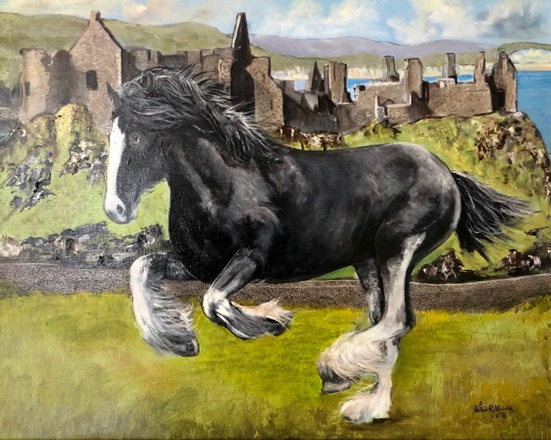 Gallery 8 Salt Spring Island - Artist Will Millar