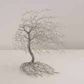 Gallery 8 Salt Spring Island - CG Swanson