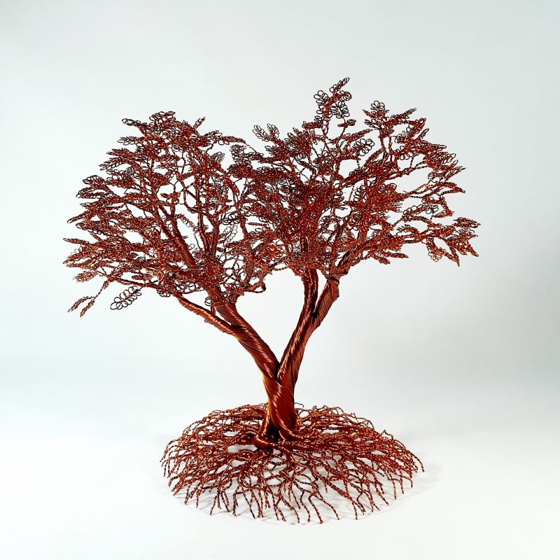 Gallery 8 Salt Spring Island - CG Swanson