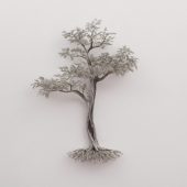 Gallery 8 Salt Spring Island - Artist CG Swanson