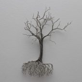 Gallery 8 Salt Spring Island - CG Swanson