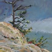 Gallery 8 Salt Spring Island - Artist Peggy Bagshaw