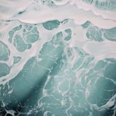 Gallery 8 Salt Spring Island - Artist Collin Elder