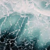 Gallery 8 Salt Spring Island - Artist Collin Elder