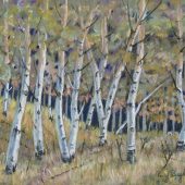 Gallery 8 Salt Spring Island - Artist Peggy Bagshaw