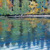 Gallery 8 Salt Spring Island - Artist Peggy Bagshaw