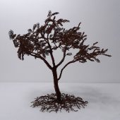 Gallery 8 Salt Spring Island - Artist CG Swanson