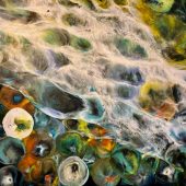 Gallery 8 Salt Spring Island - Artist Shelley Wuitchik