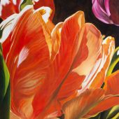 Gallery 8 Salt Spring Island - Artist Sandy Terry