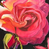 Gallery 8 Salt Spring Island - Artist Sandy Terry