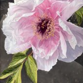 Gallery 8 Salt Spring Island - Artist Sandy Terry