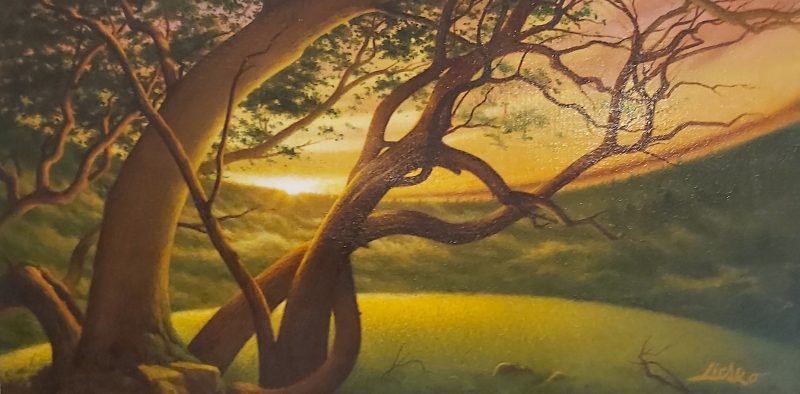 Gallery 8 Salt Spring Island - Frank Liscko