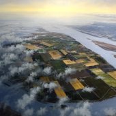 Gallery 8 Salt Spring Island - Artist Randolph Parker