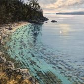 Gallery 8 Salt Spring Island - Artist Randolph Parker