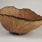 Gallery 8 Salt Spring Island - Artist Dave & Alison Roberts