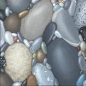 Gallery 8 Salt Spring Island - Artist Kristina Boardman