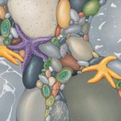 Gallery 8 Salt Spring Island - Artist Kristina Boardman