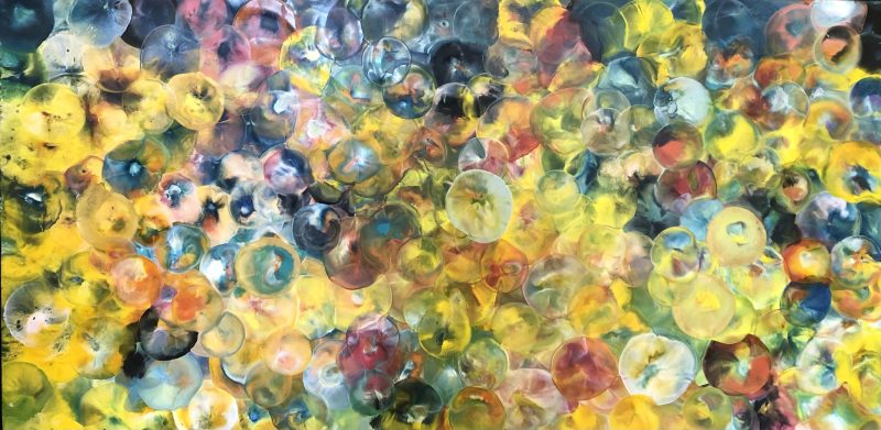 Gallery 8 Salt Spring Island - Artist Corre Alice