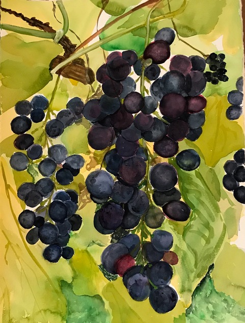 Gallery 8 Salt Spring Island - Artist - Florence Roberge