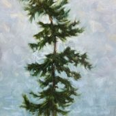 Gallery 8 Salt Spring Island - Artist Kim Pollard