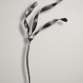 Gallery 8 Salt Spring Island - Artist Katie Ford