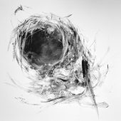 Gallery 8 Salt Spring Island - Artist Marney-Rose Edge