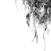 Gallery 8 Salt Spring Island British Columbia Canada - Artist Marney-Rose Edge