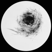 Gallery 8 Salt Spring Island British Columbia Canada - Artist Marney-Rose Edge