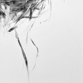 Gallery 8 Salt Spring Island British Columbia Canada - Artist Marney-Rose Edge