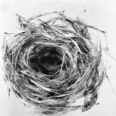 allery 8 Salt Spring Island British Columbia Canada - Artist Marney-Rose Edge